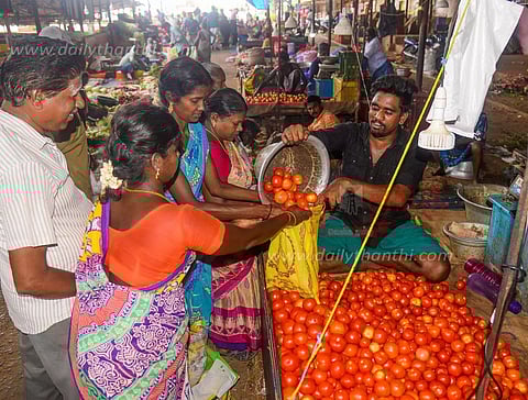 தக்காளி விலை வீழ்ச்சி
