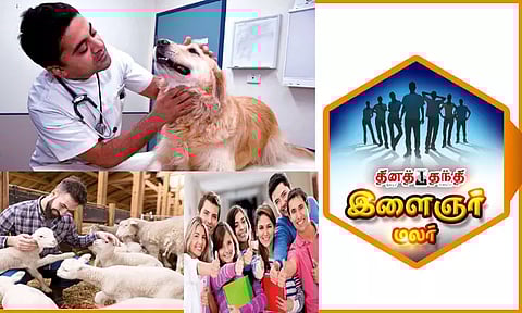 கால்நடை மருத்துவ படிப்புகளும், கலக்கலான வேலைவாய்ப்புகளும்...!