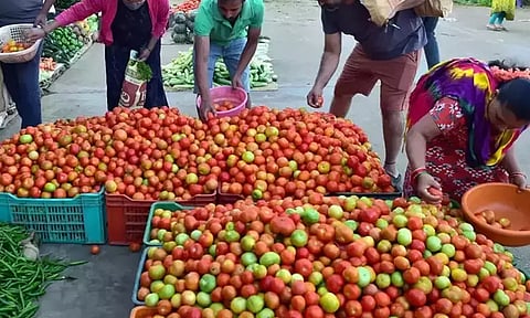கோயம்பேடு மார்க்கெட்டில் தக்காளி விலை கடும் வீழ்ச்சி; ஒரு கிலோ ரூ.6-க்கு விற்பனை