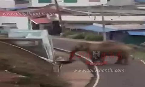 பந்தலூர் அருகே குடியிருப்புகளை காட்டு யானை முற்றுகை-வாகன ஓட்டிகளை விரட்டியதால் பரபரப்பு