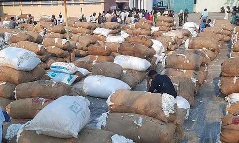 கள்ளக்குறிச்சியில் ரூ.20 லட்சத்துக்கு பருத்தி விற்பனை