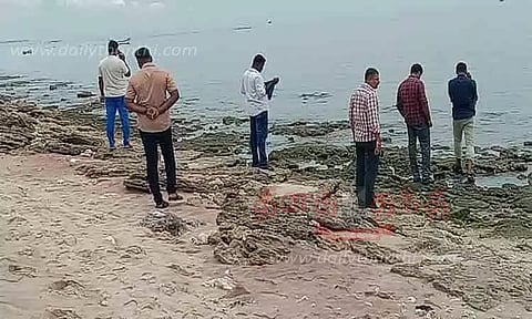 பாம்பனில் வெடிகுண்டு பிரிவு போலீசார் தீவிர சோதனை