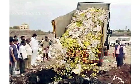 ரசாயனம் மூலம் பழுக்க வைக்கப்பட்ட 5 டன் மாம்பழங்கள் அழிப்பு