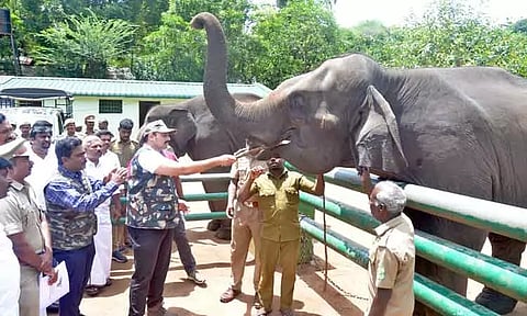 வளர்ப்பு யானைகள் முகாமில் ஆய்வு:மலைக்கிராமங்களுக்கு மின்சாரம் கிடைக்க வனத்துற தடையாக இருக்காது-அமைச்சர் மதிவேந்தன் தகவல்