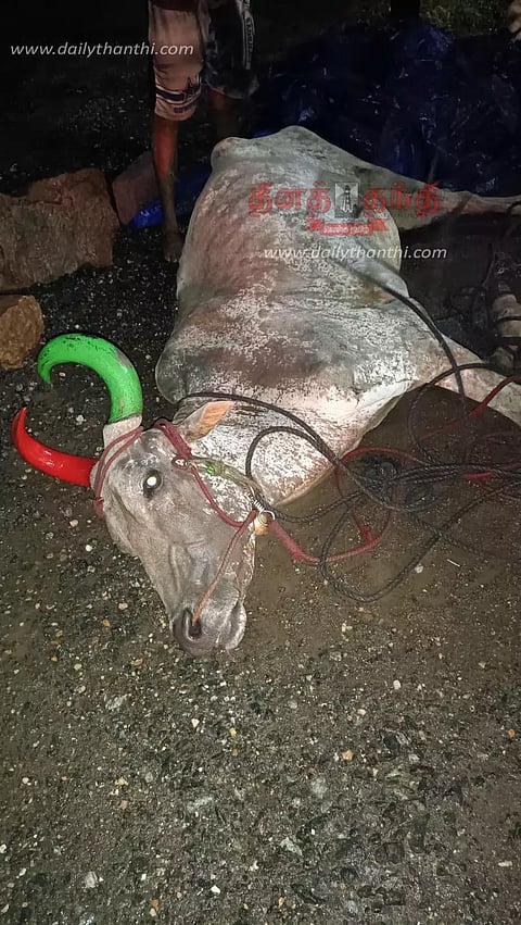 ஈரோட்டில் மின்சாரம் தாக்கி மாடு சாவு