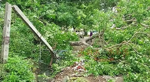 நல்லம்பள்ளி அருகேகனமழைக்கு மின்கம்பம் உடைந்து சேதம்