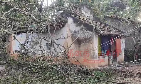வீட்டின் மீது மரம் முறிந்து விழுந்தது; தந்தை-மகள் உயிர் தப்பினர்