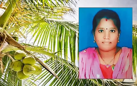 மொட்டை மாடியில் நின்றபடி தென்னை ஓலையை இழுத்த பெண் தவறி விழுந்து சாவு