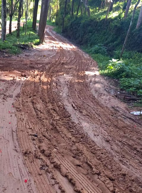 சேறும், சகதியுமாக மாறிய சாலை