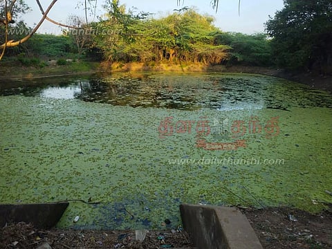 பிடாரி குளத்தில் படித்துறையை சீரமைக்க வேண்டும்