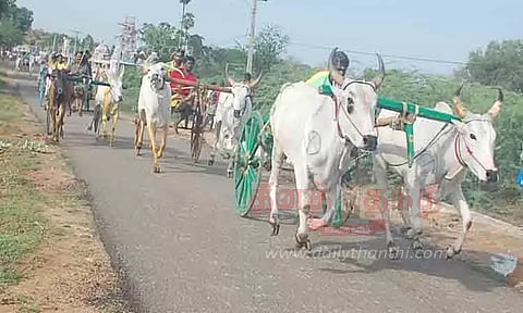 காளையார்கோவில் அருகே மாட்டுவண்டி பந்தயம்