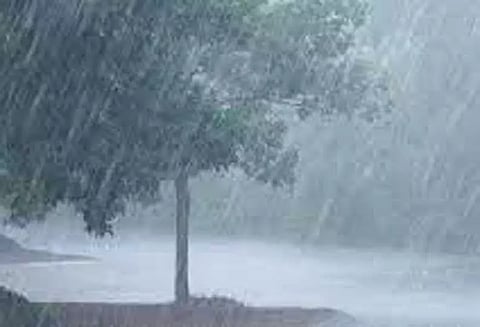 குமரியில் அதிகபட்சமாக சுருளகோட்டில் 80.6 மி.மீ. பதிவு