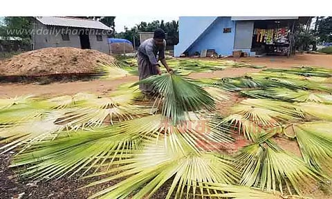 பனை குருத்தோலையை பதப்படுத்தும் பணிகள் மும்முரம்