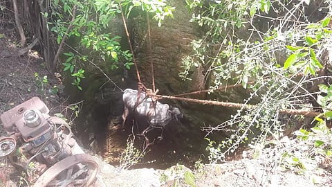 பர்கூர் அருகேகிணற்றில் விழுந்த மாடுகள் உயிருடன் மீட்பு