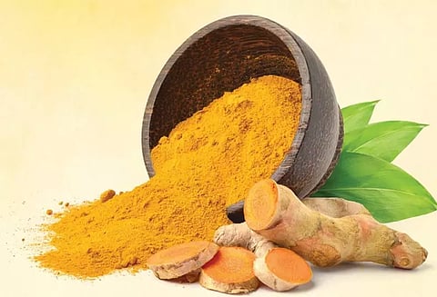 ஆர்கானிக் மஞ்சள் தூள் தயாரிப்பு