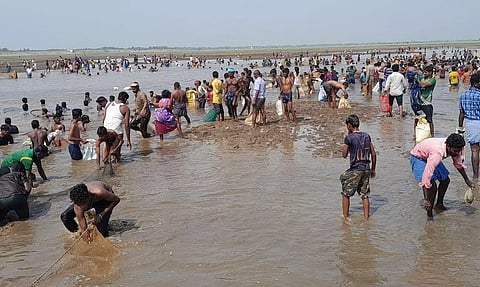 மணிமுக்தா அணையில் மீன் பிடி திருவிழா