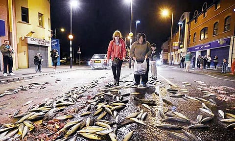 வானம் காட்டும் 'மழை' ஜாலம்