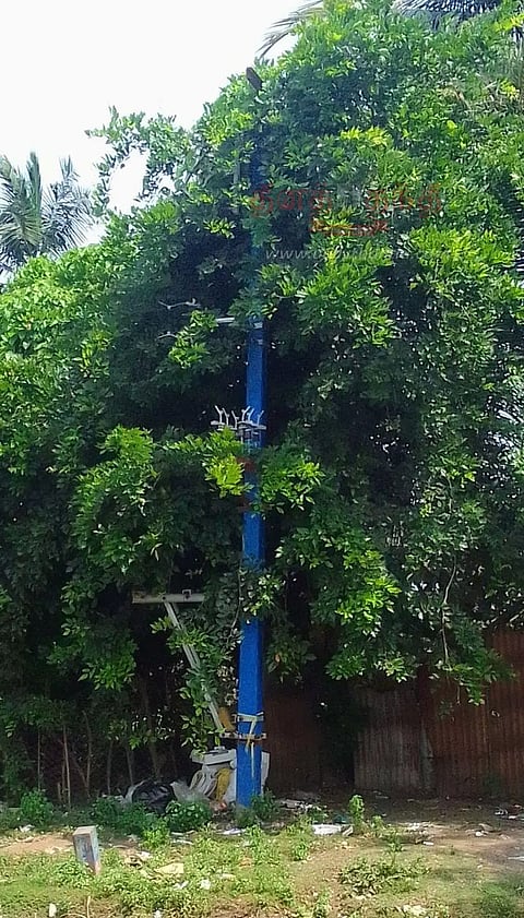 புதிய மின்மாற்றிகள் பயன்பாட்டிற்கு கொண்டு வரப்படுமா?