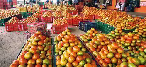 தக்காளி விலை உயர்வு