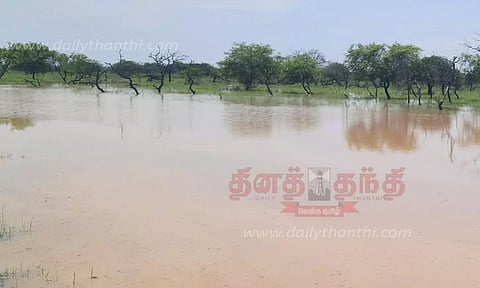 மேலச்செல்வனூர் பறவைகள் சரணாலயத்தில் தேங்கிய தண்ணீர்