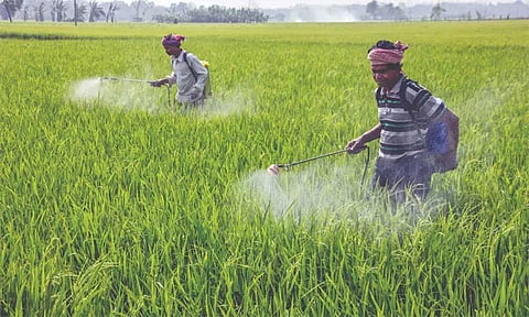 நடப்பு சம்பா பருவத்தில் ரூ.1 லட்சம் கோடி உர மானியம் வழங்க மத்திய மந்திரிசபை ஒப்புதல்