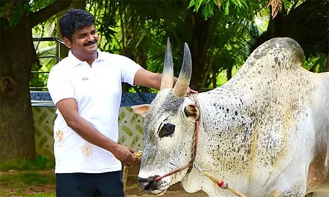 ஜல்லிக்கட்டு தீர்ப்பு - அதிமுகவுக்கு கிடைத்த வெற்றி - விஜயபாஸ்கர்