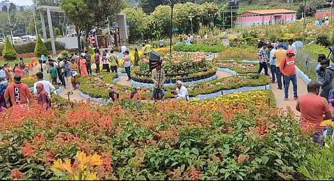 குளு, குளு சீசனை அனுபவிக்க குவிந்த சுற்றுலா பயணிகள்