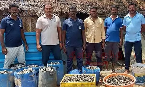 இலங்கைக்கு கடத்த பதுக்கி வைத்திருந்த 550 கிலோ கடல் அட்டை பறிமுதல்