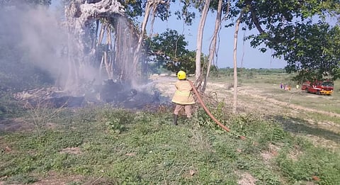 பழமைவாய்ந்த ஆலமரத்தில் தீ