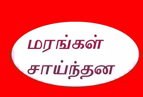 பெரம்பலூர்-ஆத்தூர் சாலையில் சூறாவளி காற்றுக்கு மரங்கள் சாய்ந்தன