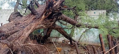 சூறைக்காற்றுடன் ஆலங்கட்டி மழை