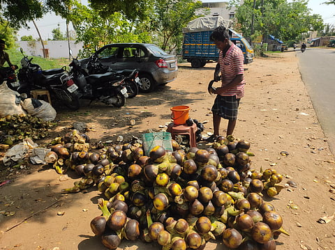 கரூரில் கொடிகட்டி பறக்கும் நுங்கு விற்பனை