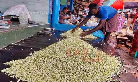 வரத்து அதிகரிப்பால் மதுரை மல்லிகை விலை தொடர் சரிவு-ஒரு கிலோ ரூ.300-க்கு விற்பனை