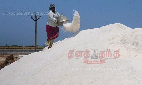 உப்பூர், திருப்பாலைக்குடி பகுதியில் உப்பு உற்பத்தி மும்முரம்