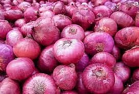 வெங்காய ஏற்றுமதி 64 சதவீதம் அதிகரிப்பு