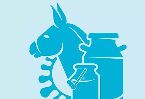 கொழுப்பைக் கரைக்கும் கழுதைப்பால்