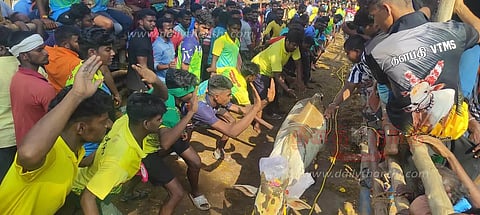 எருது விடும் விழாவில் 200 மாடுகள் சீறிப்பாய்ந்தன.