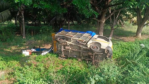 சாலையோரத்தில் கவிழ்ந்த சரக்கு வேன்