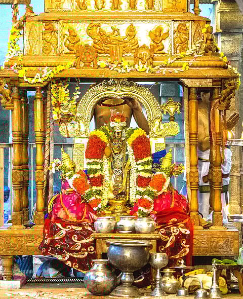 நம்பெருமாள் வசந்த உற்சவம் தொடங்கியது