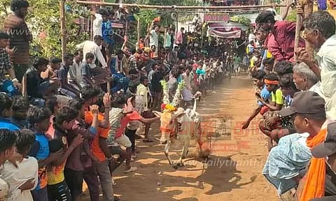 காளை விடும் விழா