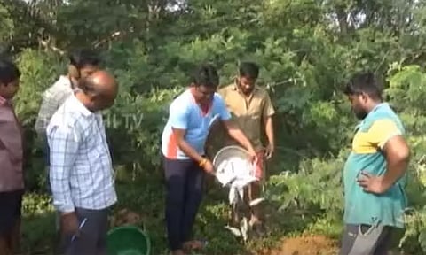 ஓசூர்: மீன் கடைகளில் மீன்வளத்துறை அதிகாரிகள் திடீர் ஆய்வு - ரசாயனம் கலந்த மீன்கள் பறிமுதல்