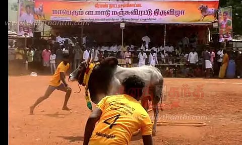 வடமாடு மஞ்சுவிரட்டு