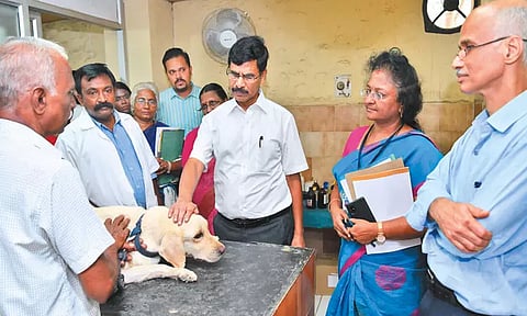 சிட்லபாக்கம் கால்நடை ஆஸ்பத்திரியில் தலைமைச் செயலாளர் ஆய்வு