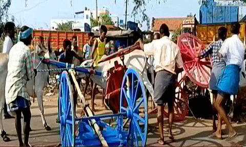 மதுரையில் நடைபெற்ற மாட்டுவண்டி பந்தயத்தில் மாட்டுவண்டிகள் அடுத்தடுத்து மோதி விபத்து