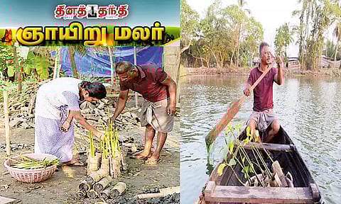 தனித்தீவு.. தனி ஒருவன்.. ஒரு லட்சம் மரக்கன்றுகள்...!