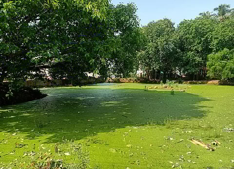 லட்சுமிபுரத்தில்ஊருணியில் தேங்கி நிற்கும் கழிவுநீர்சுகாதாரக்கேட்டால் மக்கள் பாதிப்பு