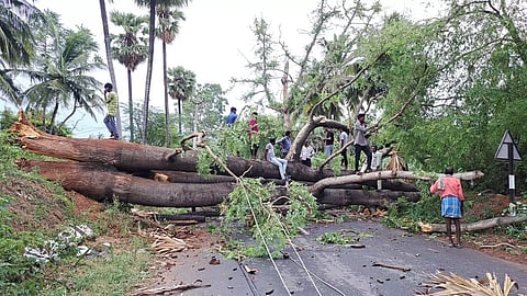 சூறாவளி காற்றுடன் பலத்த மழை