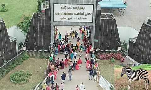 விலங்குகள் பரிமாற்ற திட்டத்தின் கீழ் மேற்கு வங்கத்தில் இருந்து வண்டலூருக்கு வரும் வரிக்குதிரை