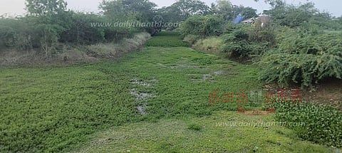 திருத்துறைப்பூண்டி மரைக்காகோரையாற்றில் ஆகாயத்தாமரைகள் அகற்றப்படுமா?