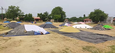 12 இடங்களில் அரசின் நேரடி நெல் கொள்முதல் நிலையத்தை திறக்க வேண்டும்